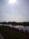 Weidumerhout met een zonnetje