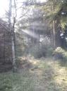 Dwingelderveld